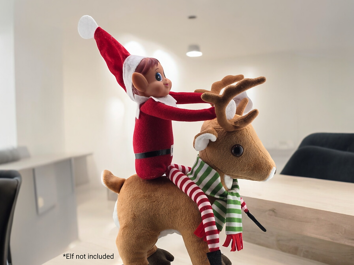 The Original Elf Kit (24 or 12 Days) + Elf Magic Reindeer Pet Bundle