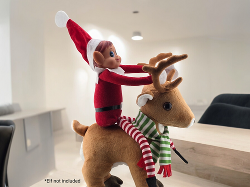 The Original Elf Kit (24 or 12 Days) + Elf Magic Reindeer Pet Bundle