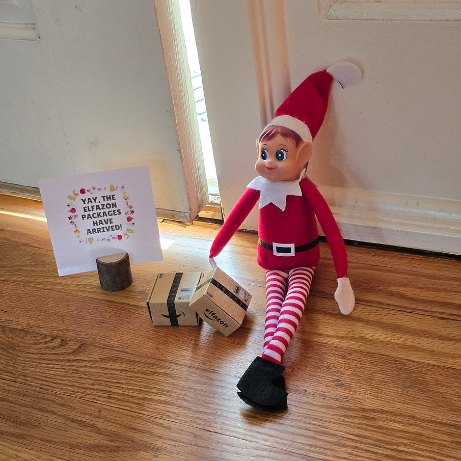 The Original Elf Kit (24 or 12 Days) + Elf Magic Door Bundle